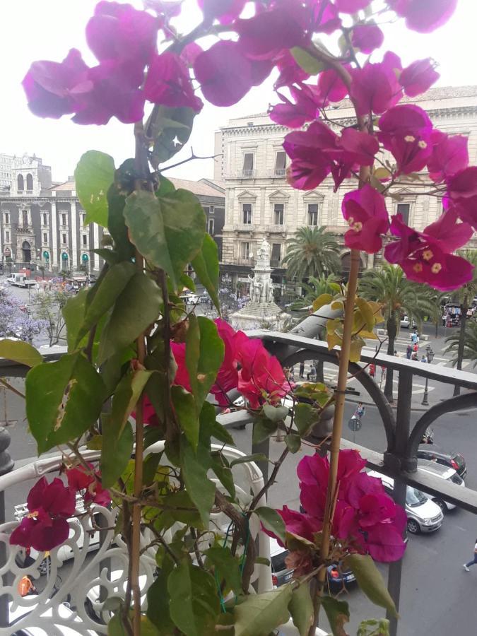 Florio Catania